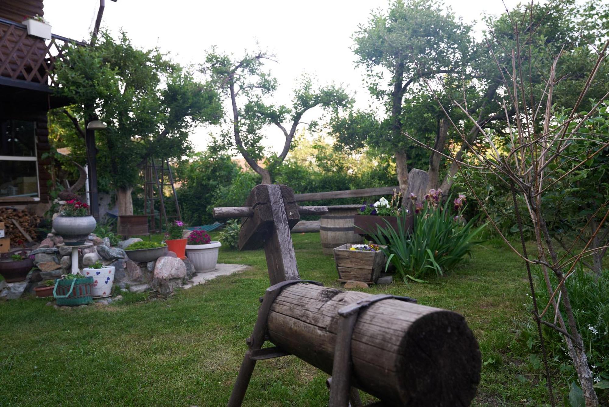 Argo Guest House Karakol Exterior foto
